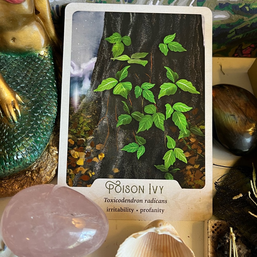 The Southern Gothic Botanical Oracle ✨🥀 - Picture 2 of 6